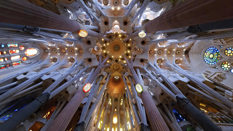 Sagrada Familia Ceiling Photograph by Kevin Felts | Pixels