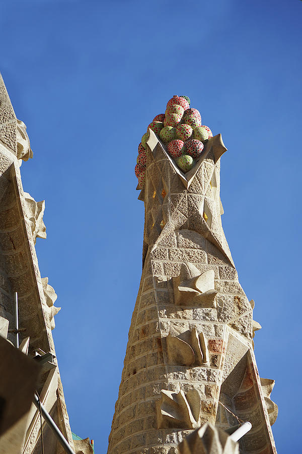 Sagrada Familia Gaudi Study 3 Photograph by Richard Reeve