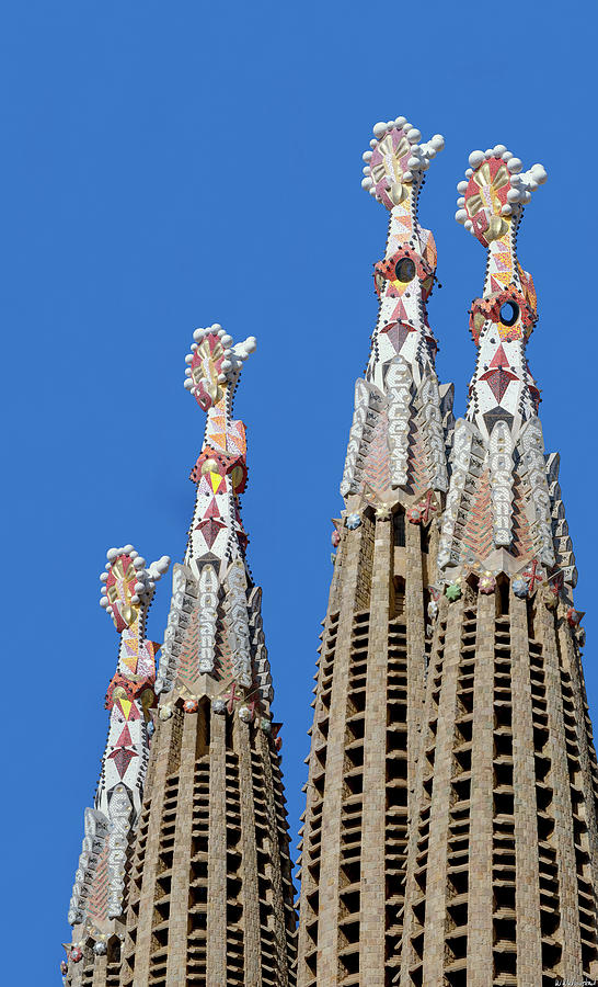  Sagrada Familia Spires Gaudi 02 Photograph by Weston Westmoreland