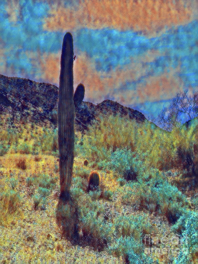 Saguaro 3952 Digital Art by David Ragland