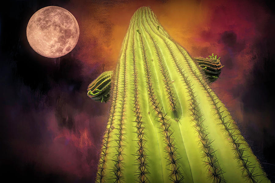 Saguaro and Blood Moon Photograph by Donna Kennedy