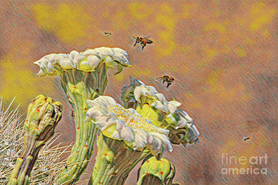 Saguaro Blloms with Visiting Bees Digital Art by David Ragland