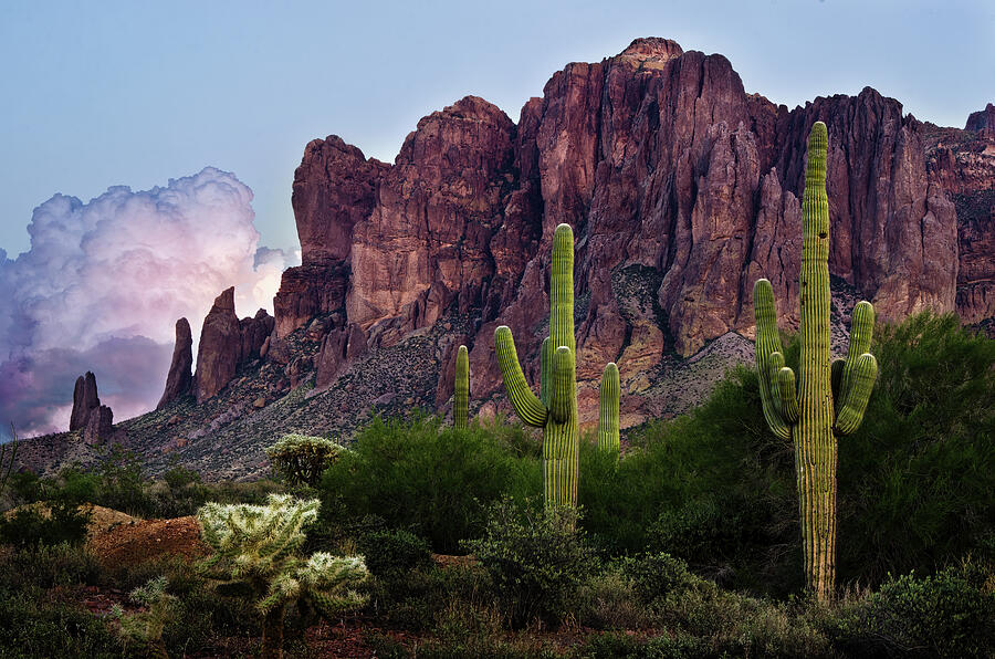 Saguaro Cactus and the Superstition Mountains Photograph by Dave Dilli
