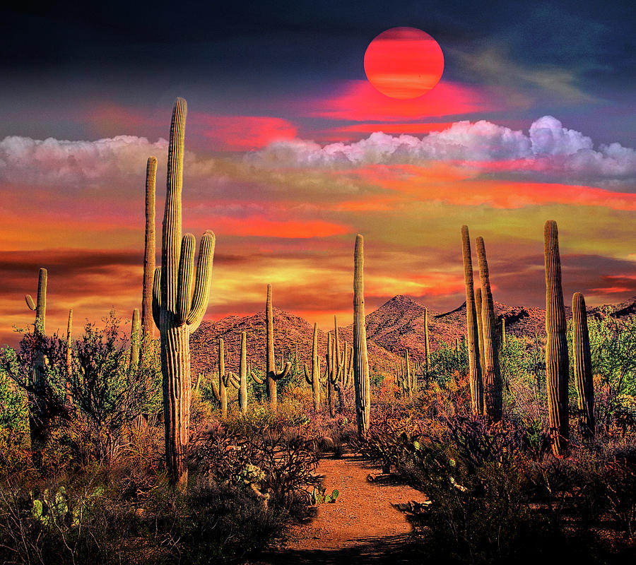 Saguaro Cactuses Under A Painted Sky Photograph by Randall Nyhof