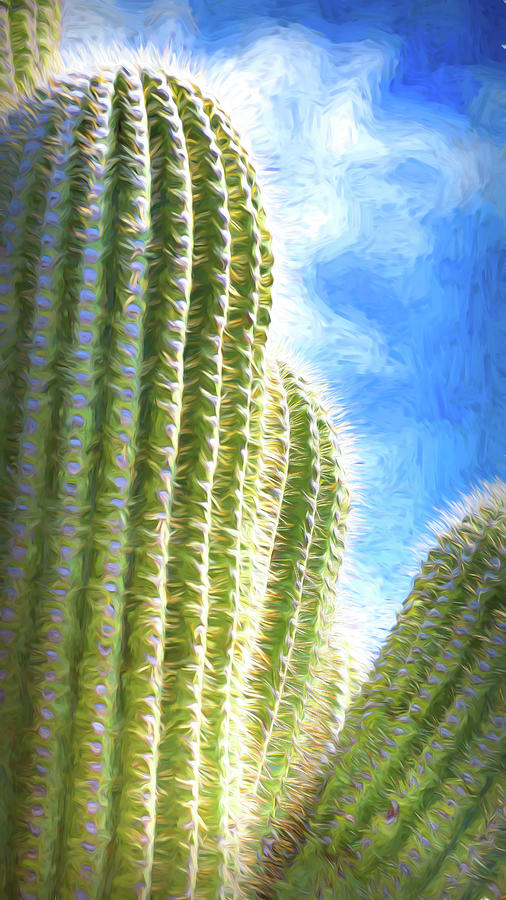 Saguaro Embrace - #4 Photograph by Stephen Stookey