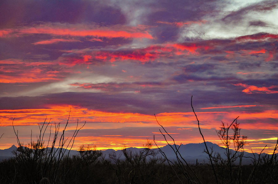 Saguaro National Park Sunset Photograph by Kyle Hanson