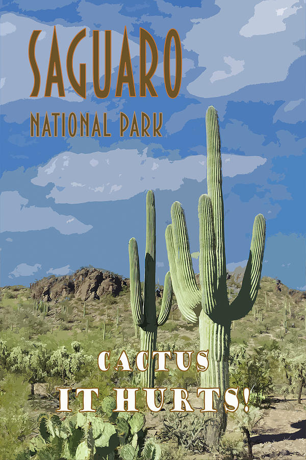 Saguaro National Park Travel Poster Photograph by Ken Smith