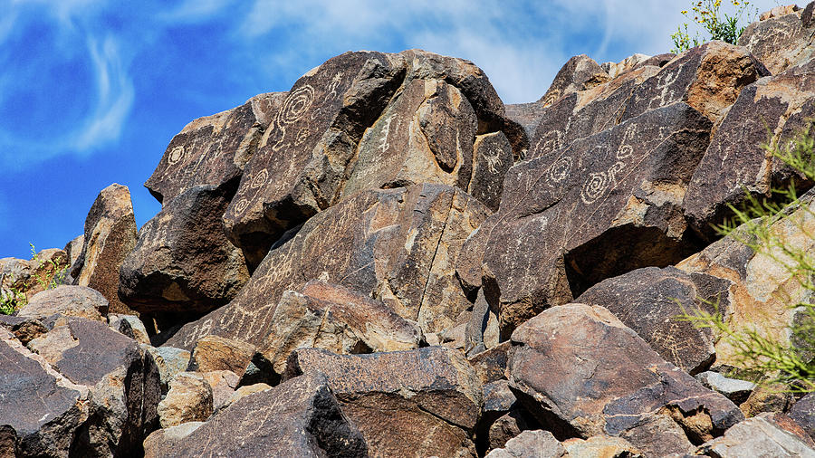 Saguaro Petroglyphs Photograph