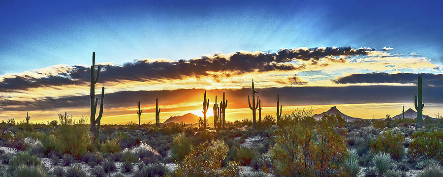 Saguaro Sunrise Panorama, Arizona Photograph by Don Schimmel