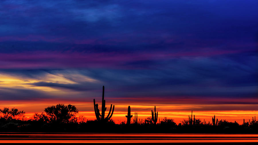 Saguaro Sunset V16 Photograph by Mark Myhaver