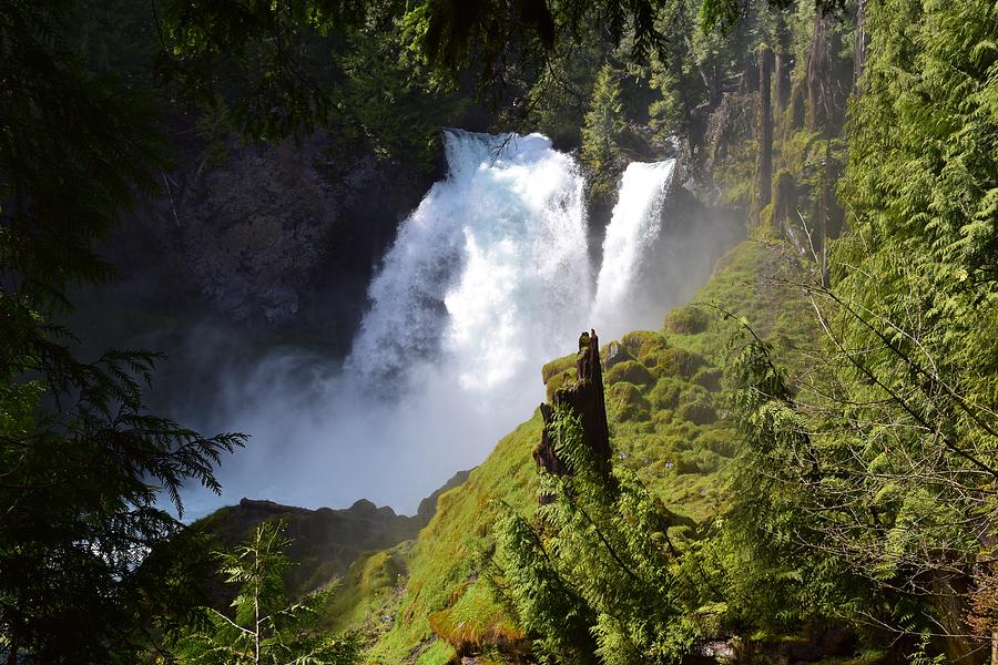 Sahalie Falls Photograph by Dana Hardy