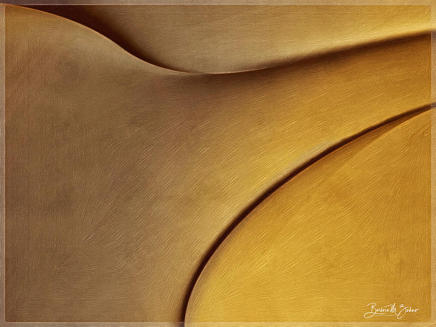 Sahara -  Abstract Photo Painting Photograph by Barbara Zahno