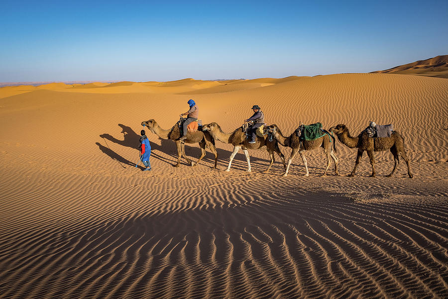 Sahara Desert Photograph