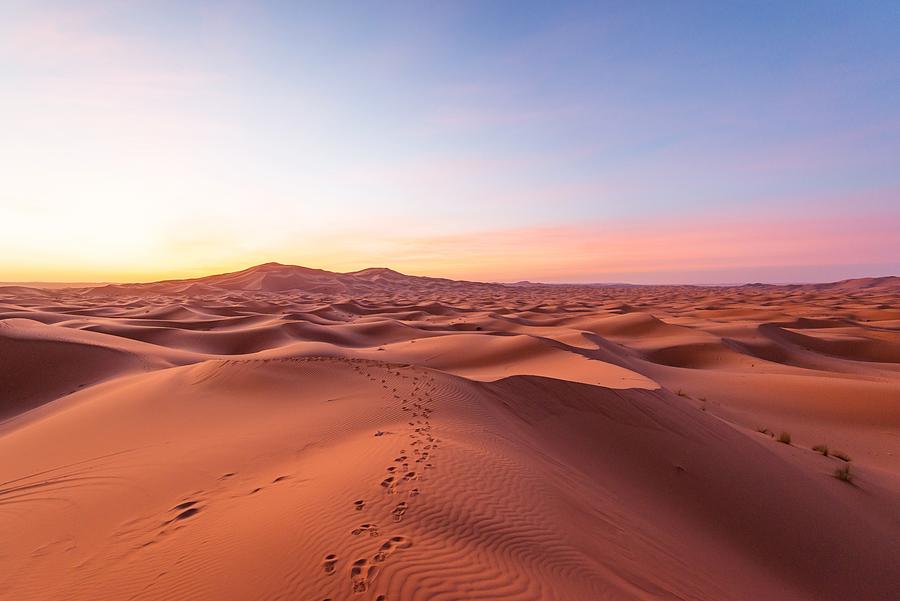 Sahara desert at sunrise, Merzouga, Morocco Photograph by Stefan Cristian Cioata