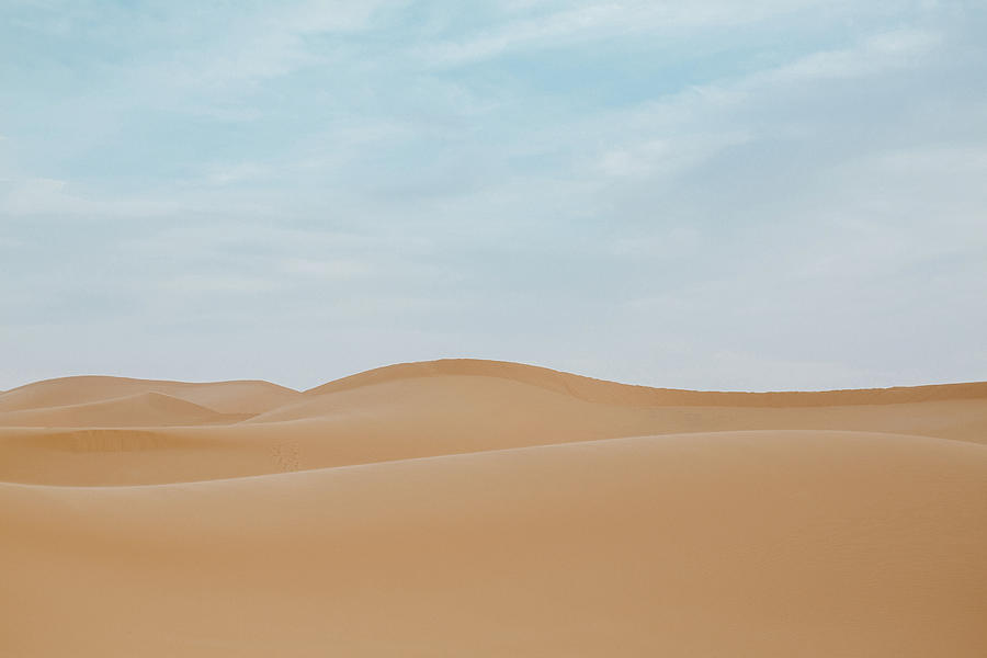 Sahara Desert Photograph by Courtney Around the World - Fine Art America