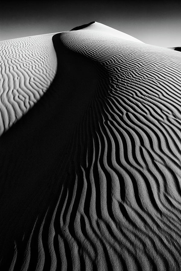 Desert Photograph - Sahara Dune II by Peter OReilly