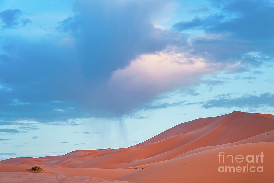 Sahara dunes Photograph by Yuri Santin
