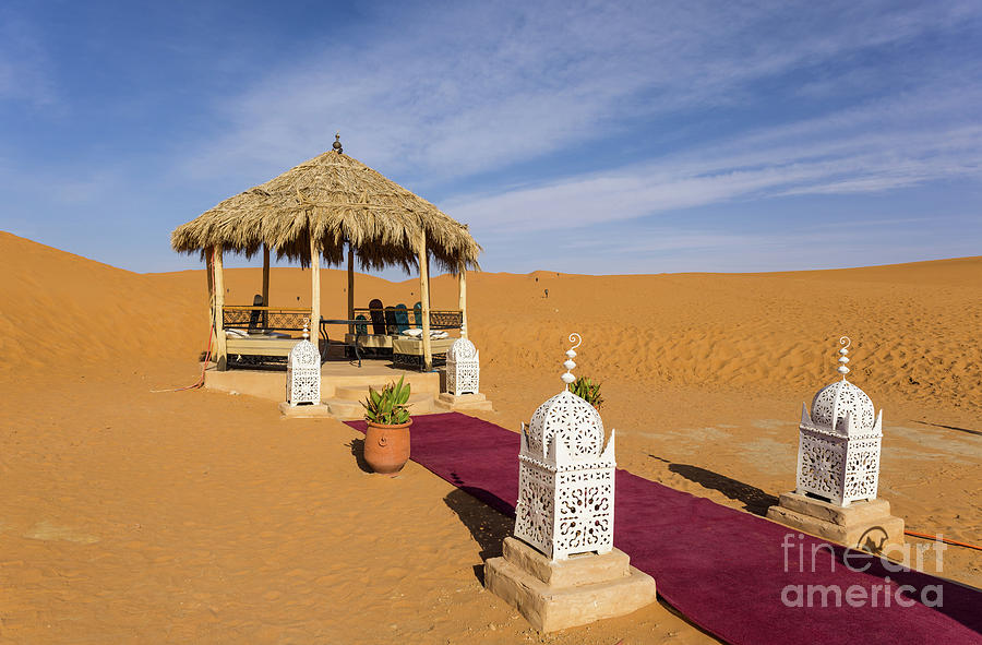 Desert Photograph - Sahara Morning by Eva Lechner
