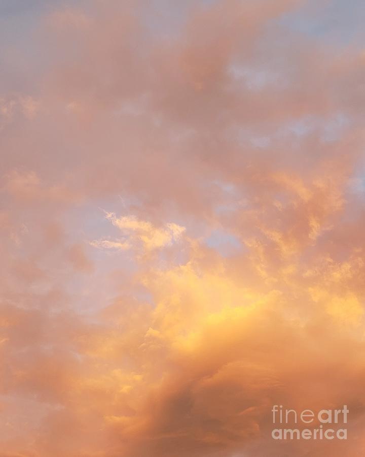 Sahara Sunrise  Photograph by Anita Adams