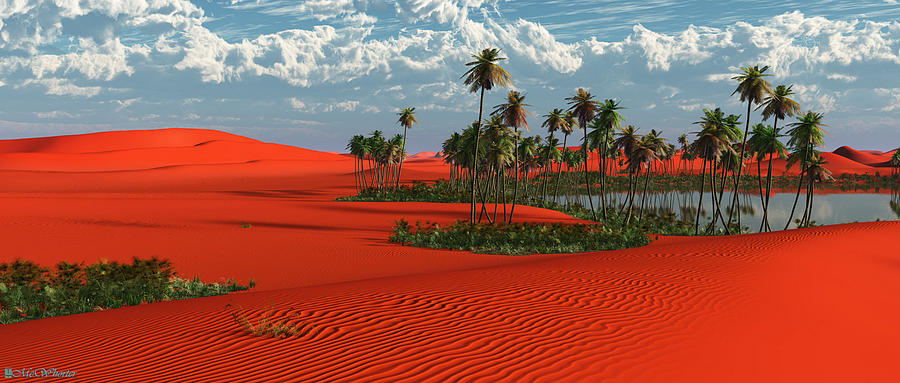 Sahara Painting by Williem McWhorter