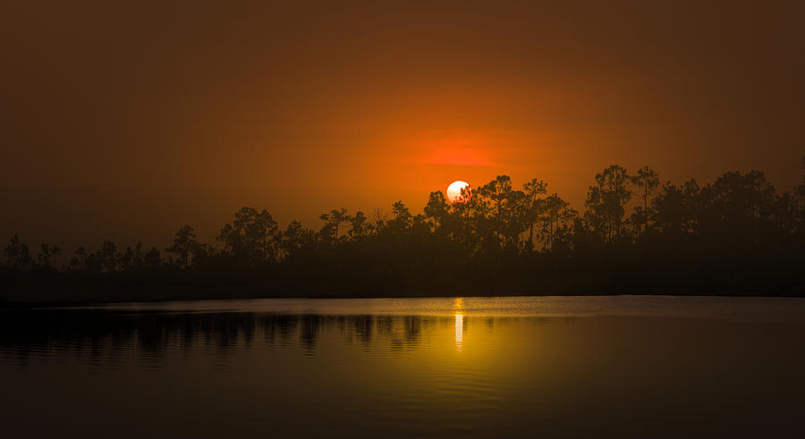 Saharan Sunset in Everglades National Park Photograph by Mark Andrew Thomas