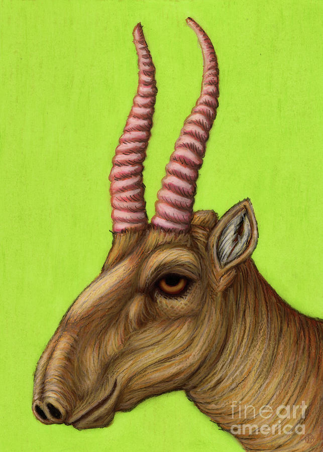 Saiga Antelope  Painting by Amy E Fraser