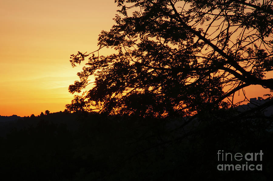 Saignon Yellow-Orange Sky at Dawn Photograph by Bob Phillips