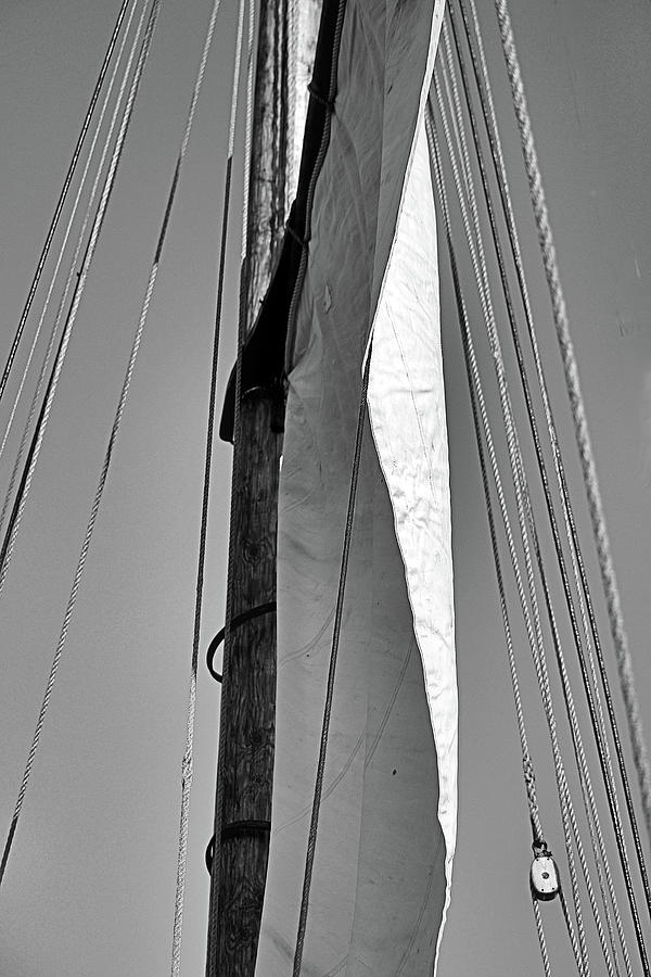 Sail And Rigging On Blue Sky In Black And White Photograph