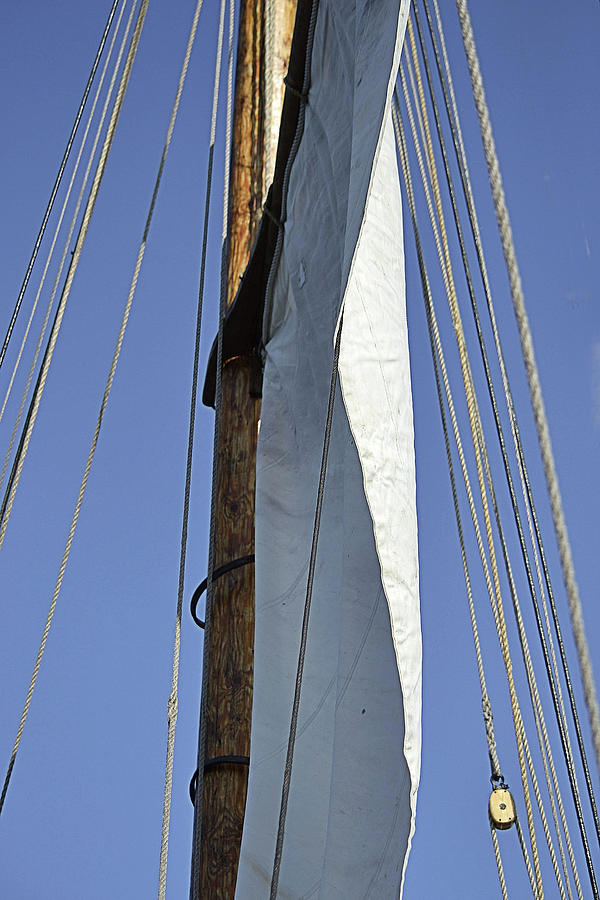 Sail and Rigging on Blue Sky Photograph by Nadalyn Larsen