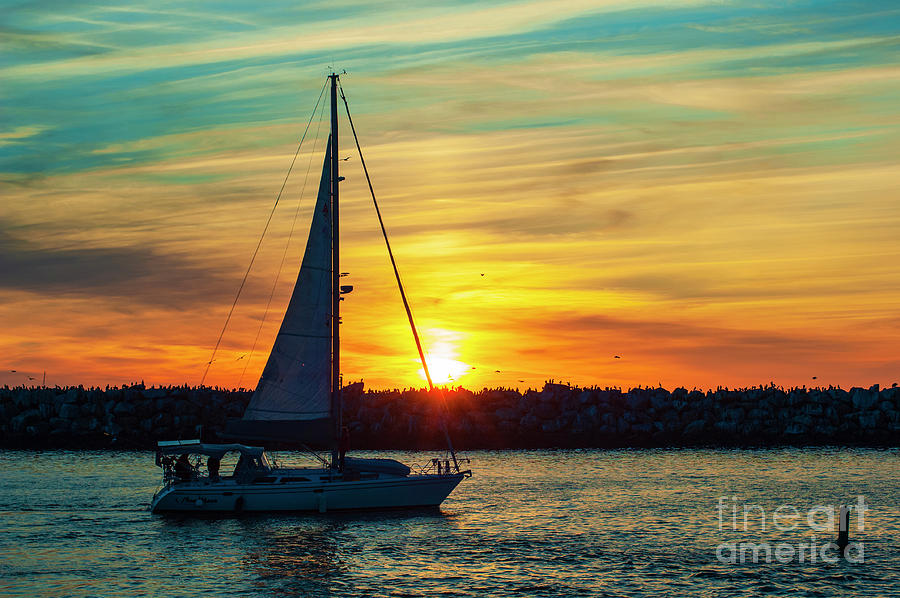 Sail at Sunset 1 Photograph by Micah May
