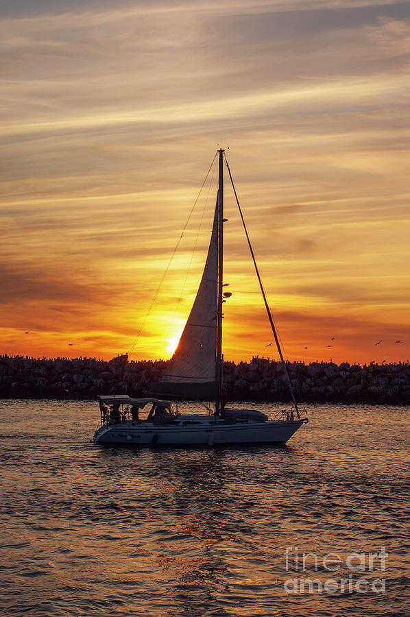 Sail at sunset 2 Photograph by Micah May