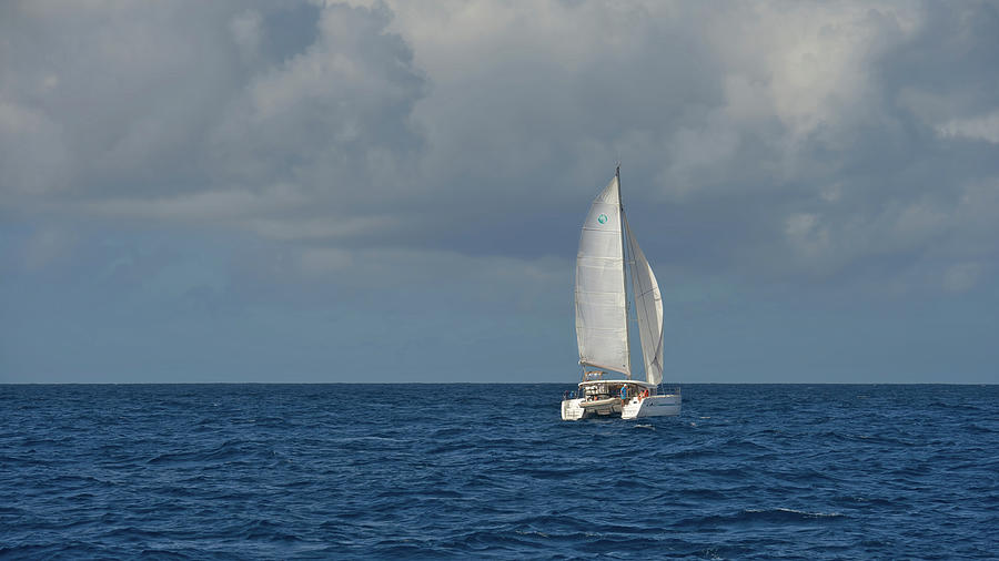 Sail Away Photograph by CR Courson