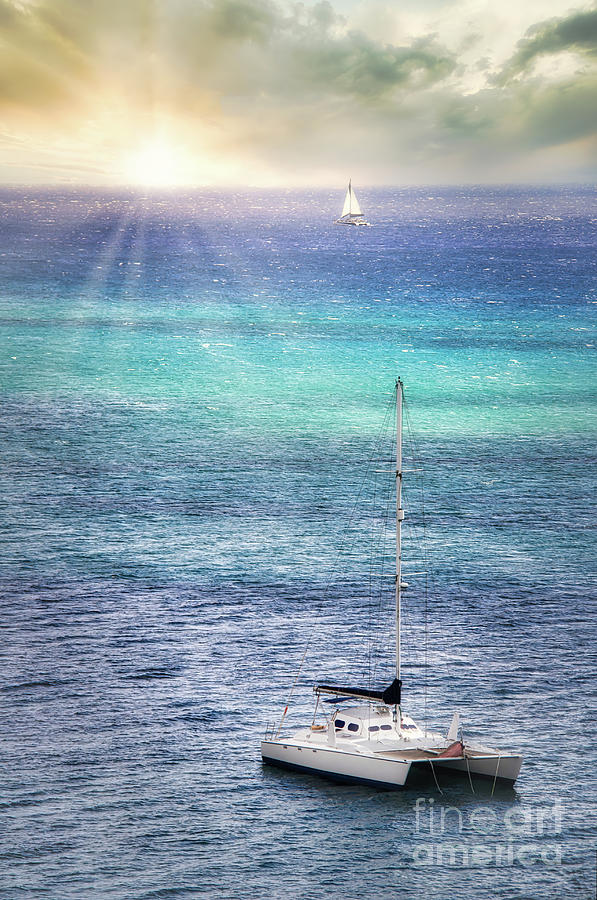 Sail Away Maui 2 Photograph by Michele Hancock Photography