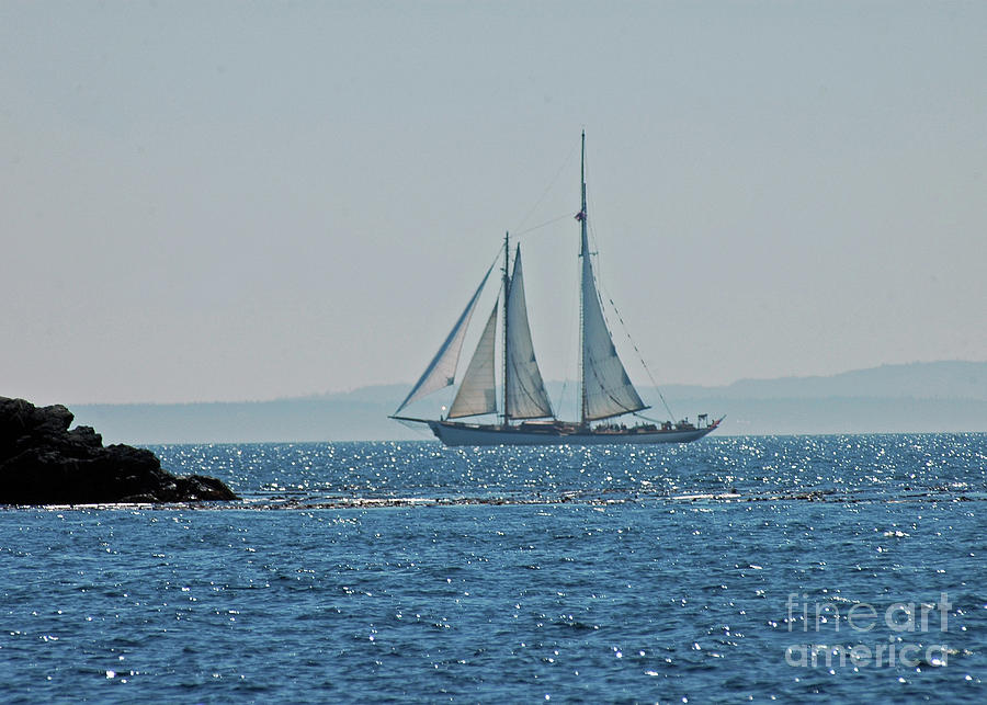 Sail Boat near the San Juans Photograph by Cindy Murphy