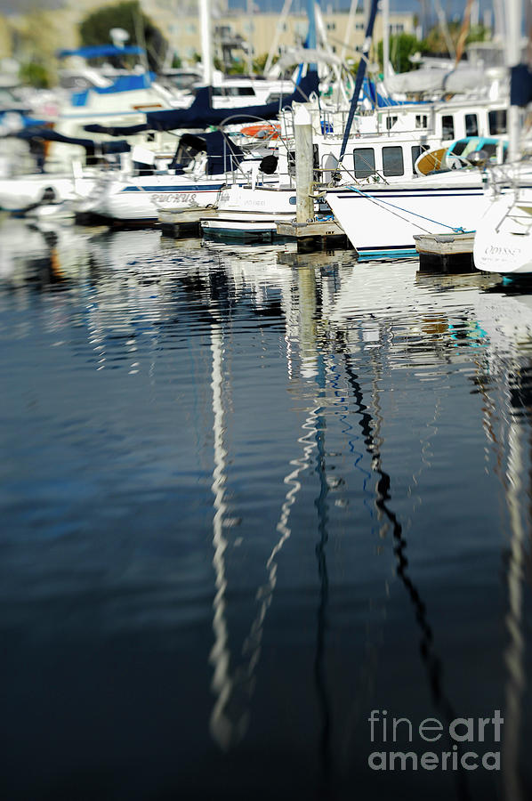Sail boats at dock Photograph by Micah May