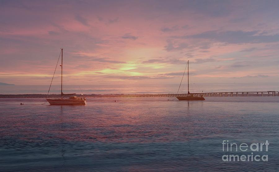 Sail Boats at Rest Photograph by Luther Fine Art