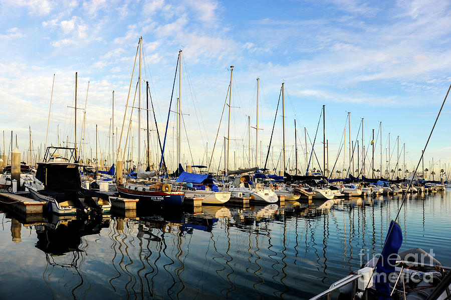 Sail boats lined up on their docks in a row. Photograph by Gunther Allen