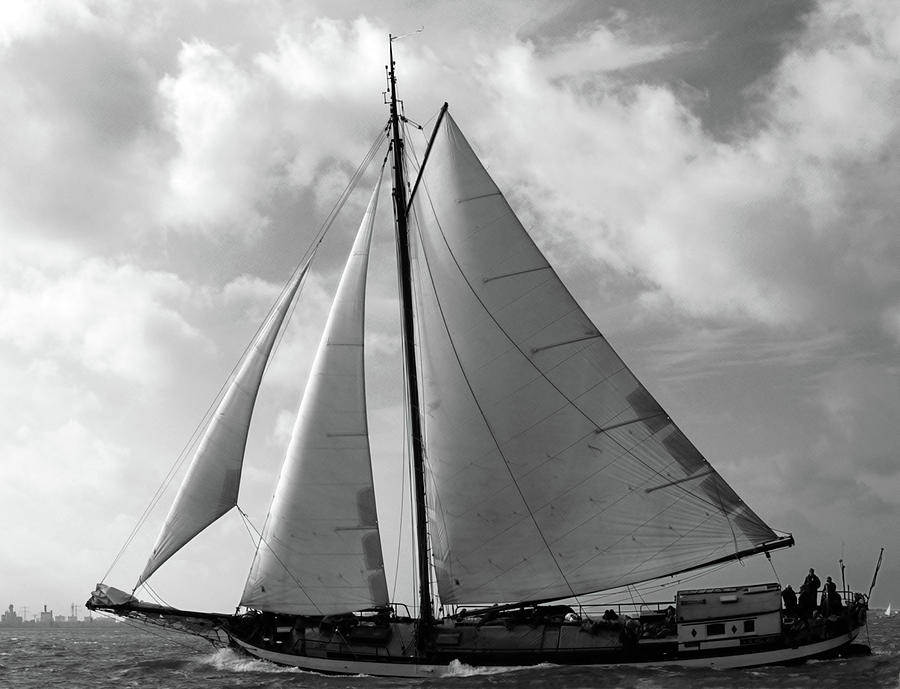 Sail by Photograph by Luc Van de Steeg
