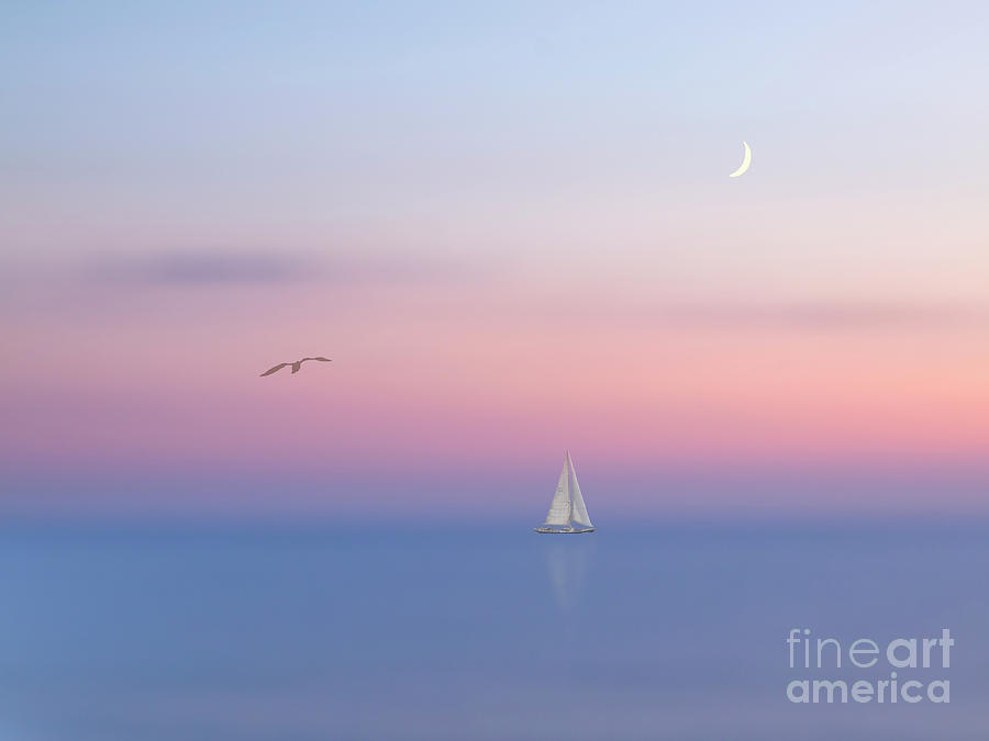 Allure. Sail Fog And Sunset. Triangles.   Photograph by Tatiana Bogracheva