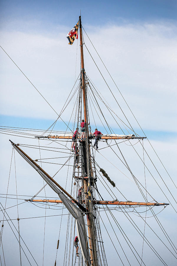 Sail Handling Mastery Photograph by Dale Kincaid