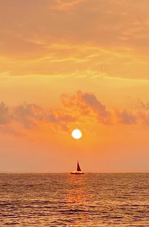 Sail in Sunset Aloha  Photograph by Joalene Young