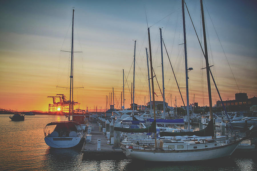 Oakland Photograph - Sail Me Away by Laurie Search