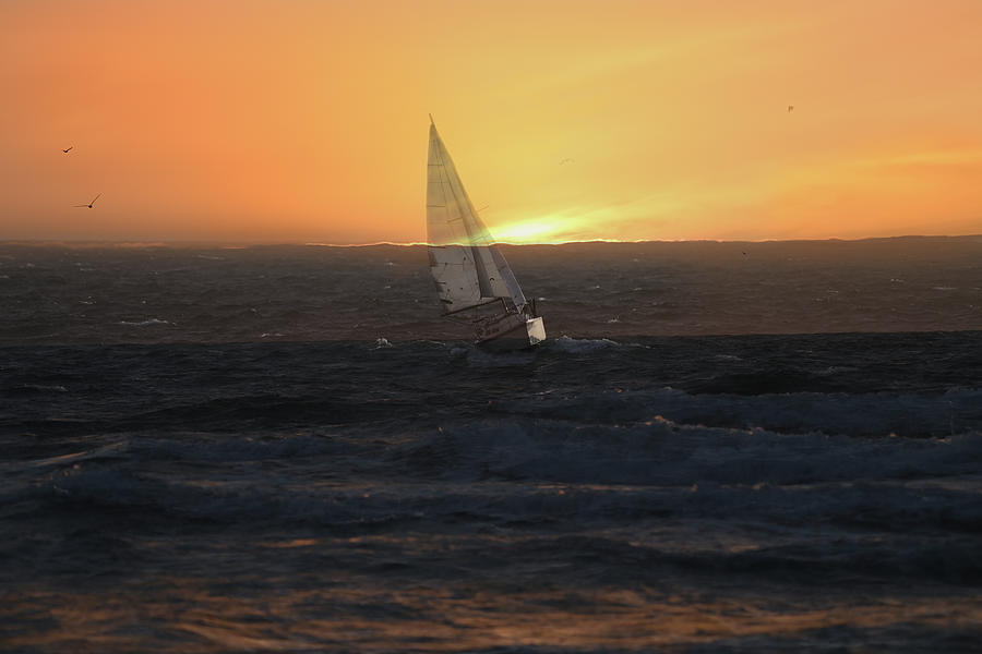 Sail on Fire - Golden Hour Photograph by Amazing Action Photo Video