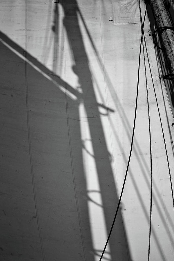 Sail Shadow in Black and White Photograph by Nadalyn Larsen