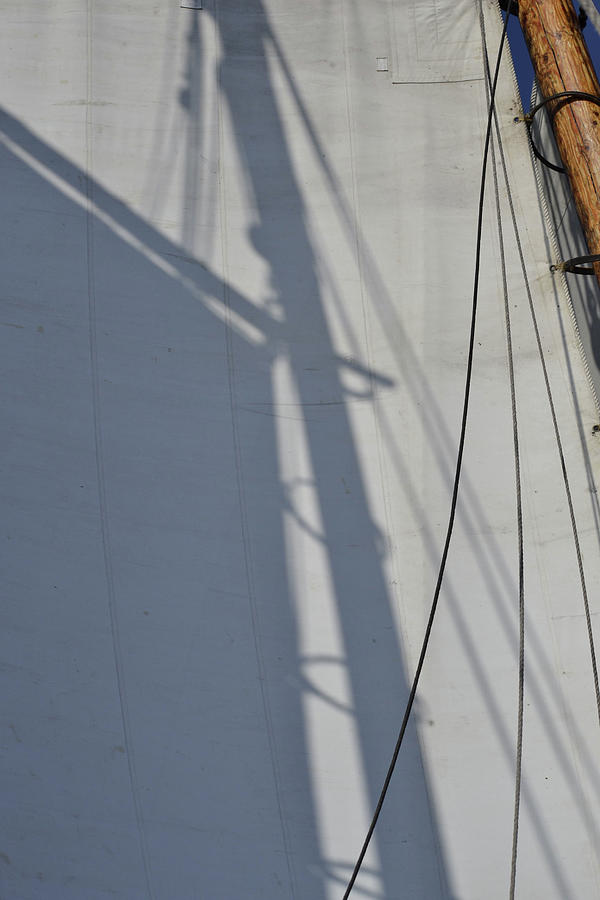 Sail Shadow Photograph by Nadalyn Larsen