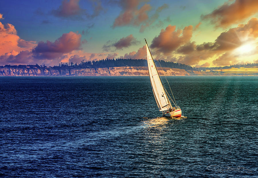 Sailboat Against The Sun Photograph by Dan Barba
