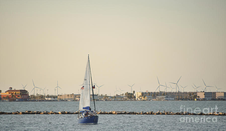 Sailboat and Windmills 2 Photograph by Andrea Anderegg