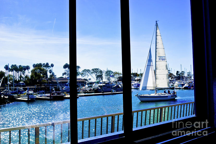 sailboat rental dana point