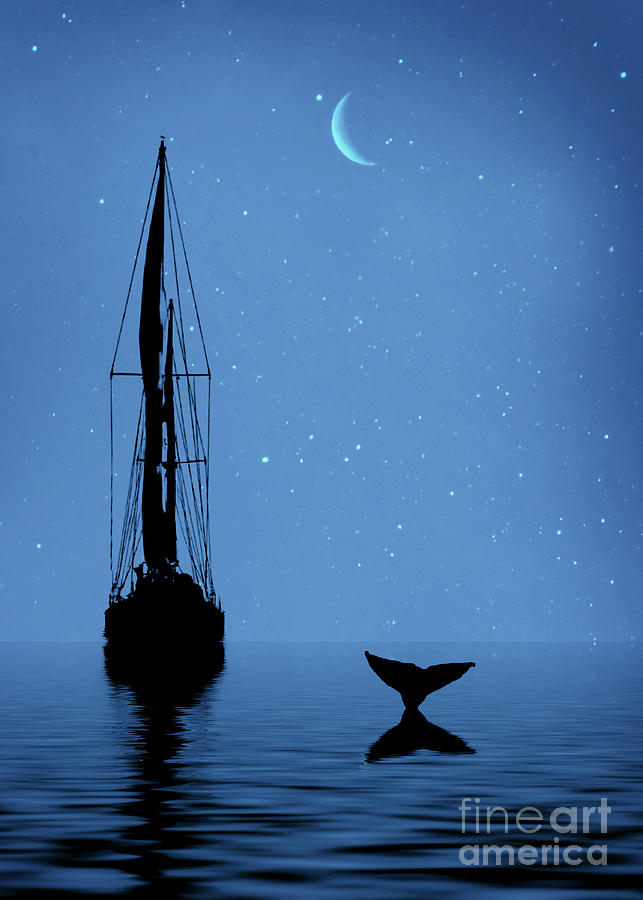 Sailboat at Night with Crescent Moon Starry Skies and a Whale Tail Smooth Sailing Photograph by Stephanie Laird