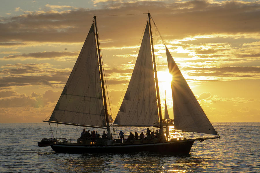 Sailboat at sunset Photograph by Daniel Adams